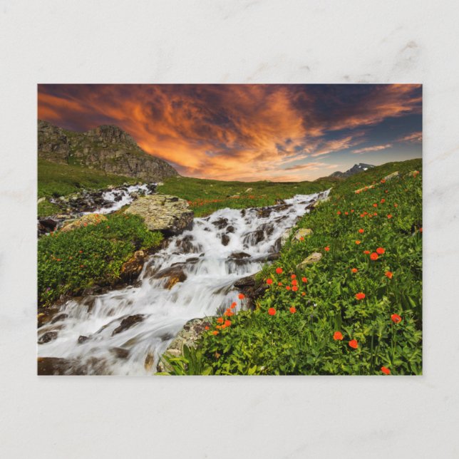 Cartão Postal Cascata nas montanhas com flores (Frente)