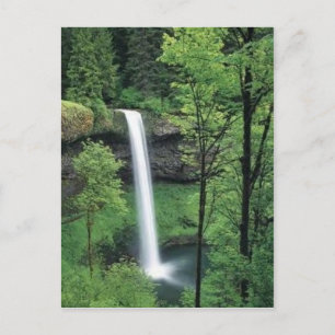 Cartão Postal Cascata rodeada por verduras escorridas