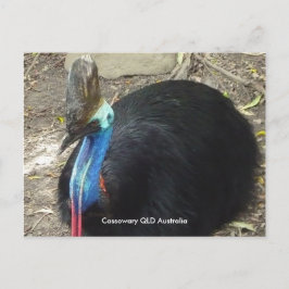 Cartão postal Cassowary QLD Austrália