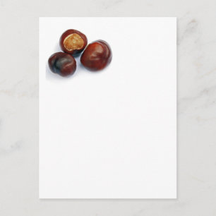 Cartão Postal castanha
