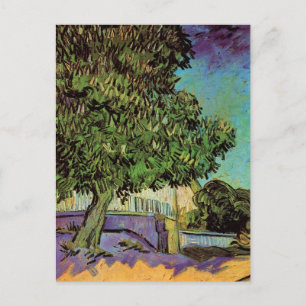 Cartão Postal Castanheira em Flor por Vincent van Gogh