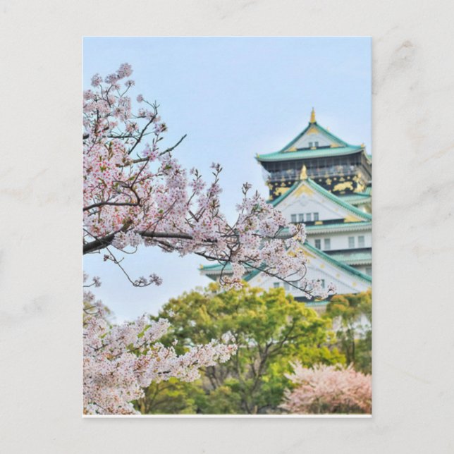 Cartão Postal Castelo de Himeji com flores de cereja (Frente)