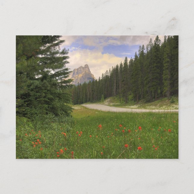 Cartão Postal Castle Mountain (Frente)