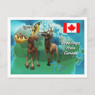 Cartão Postal Castor e Ganso de Moose Canadense