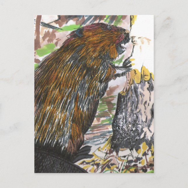 Cartão Postal Castor Ocupado (Frente)