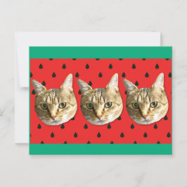 Cartão Postal cat