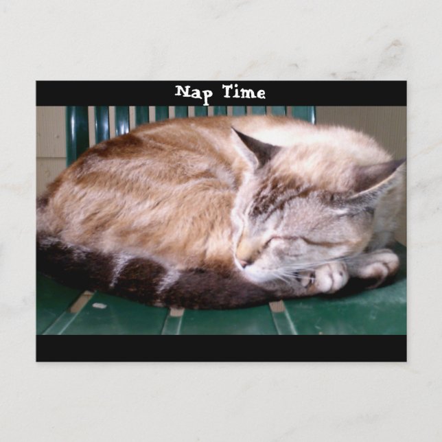 Cartão Postal Cat 7, Hora do Nap, Cartão-postal (Frente)