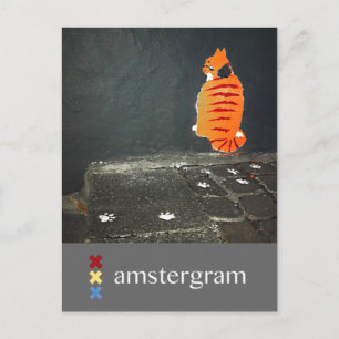 Cartão Postal Cat Amesterdã