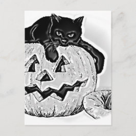 Cartão Postal Cat Black Orange Pumpkin Halloween