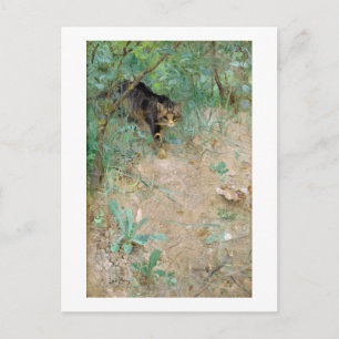 Cartão Postal Cat, Bruno Liljefors