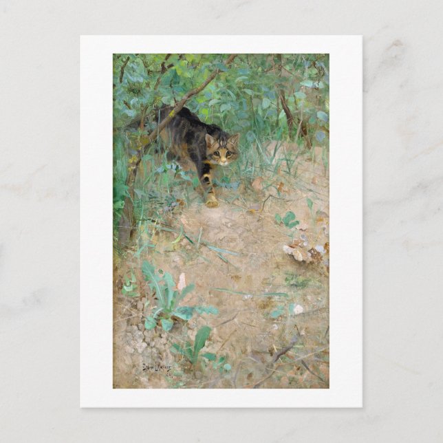 Cartão Postal Cat, Bruno Liljefors (Frente)