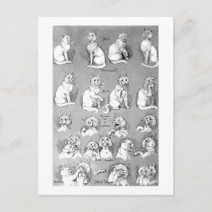 Cartão Postal Cat, Casamento e coragem, noiva, Louis Wain