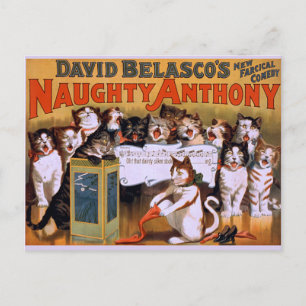 Cartão Postal Cat Chorus! -Cartão Postal