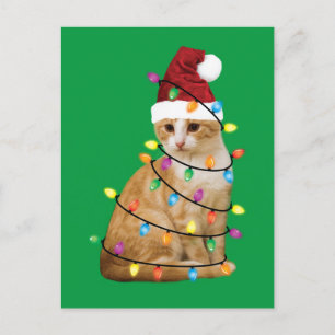 Cartão Postal Cat Christmas Tree Santa Funny Xmas Cat Lover