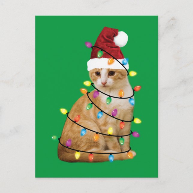 Cartão Postal Cat Christmas Tree Santa Funny Xmas Cat Lover (Frente)