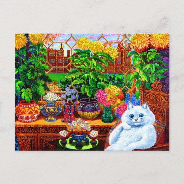 Cartão Postal Cat College Master (Frente)