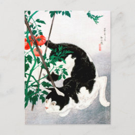 Cartão Postal Cat com Planta de Tomato - Hiroaki Takahashi - Art