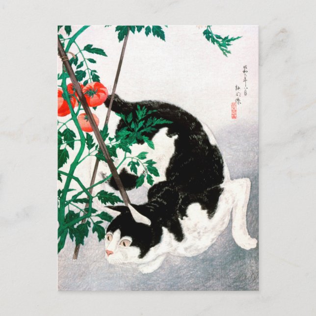 Cartão Postal Cat com Planta de Tomato - Hiroaki Takahashi - Art (Frente)