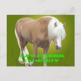 Cartão Postal Cat Creek Cowboy PC