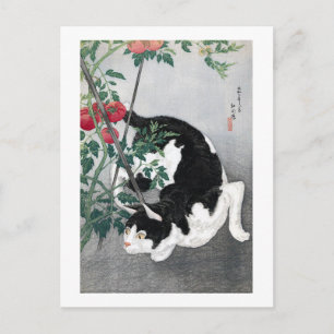 Cartão Postal Cat e Tomato, Takahashi Shotei