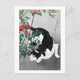 Cartão Postal Cat e Tomato, Takahashi Shotei