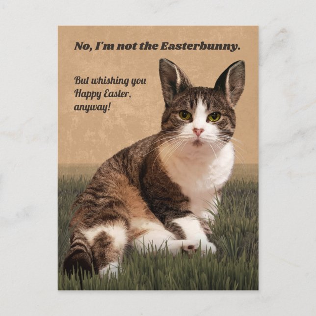 Cartão Postal Cat-Easterbunny 😸 🐰 (Frente)
