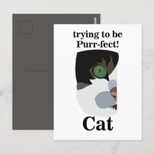 Cartão Postal Cat Lover Engraçado