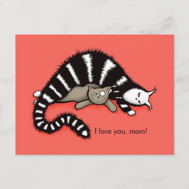 Cartão Postal Cat Madre Protege Seu Gatinho Bonito Com A Mãe (Frente)