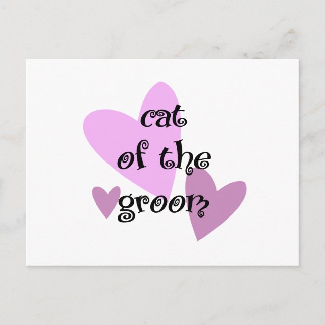 Cartão Postal Cat of the Groom (Frente)