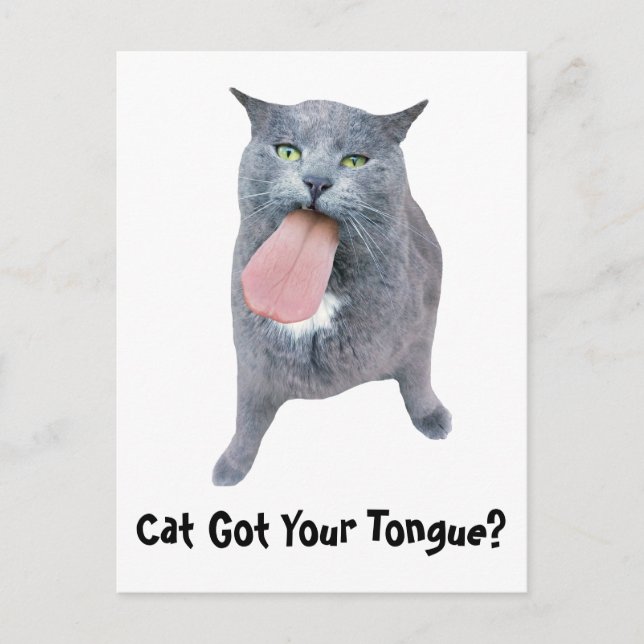 Cartão Postal Cat Pegou Sua Língua? (Frente)
