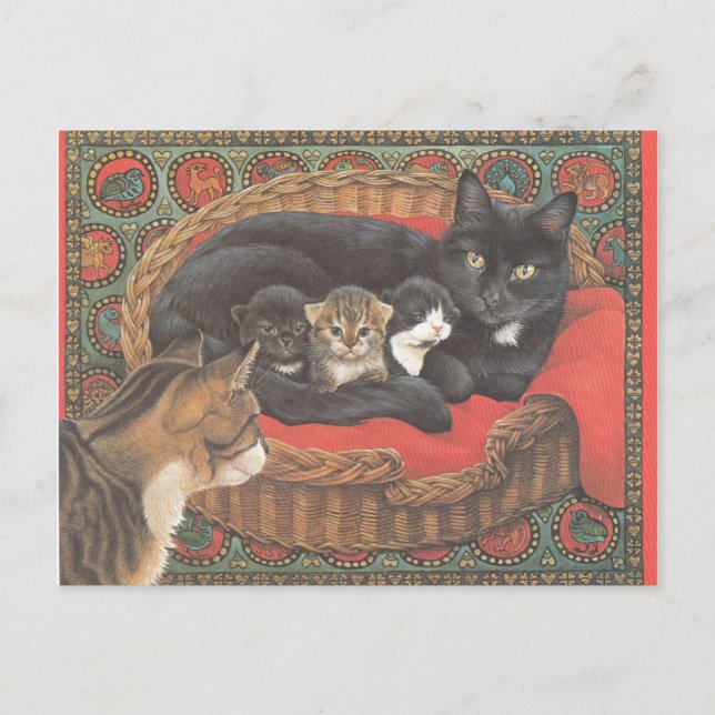 Cartão Postal Cat Postcards (Frente)