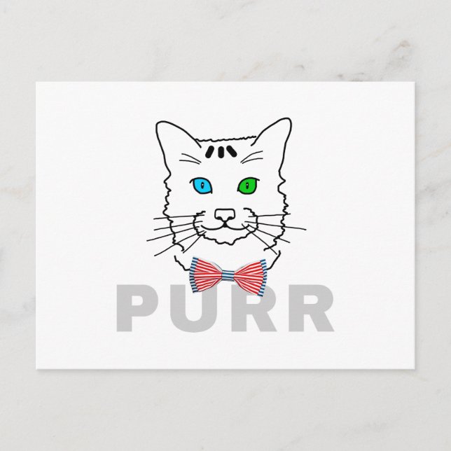 Cartão Postal Cat Purr (Frente)
