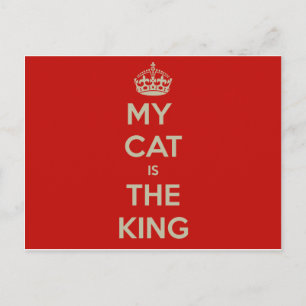 Cartão Postal Cat Qoute