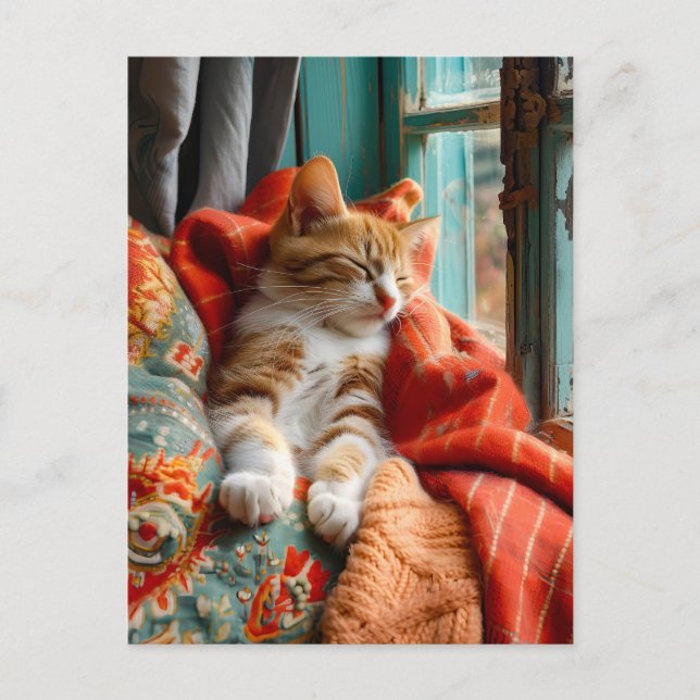 Cartão Postal Cat Sleeping by Window with Pillow and Blanket (Frente)