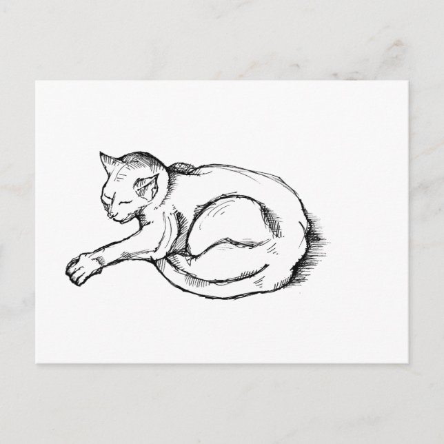 Cartão Postal Cat Sleeping Illustration Pen Drawing Art (Frente)