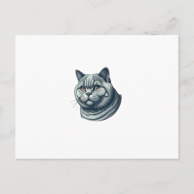 Cartão Postal cat vintage (Frente)