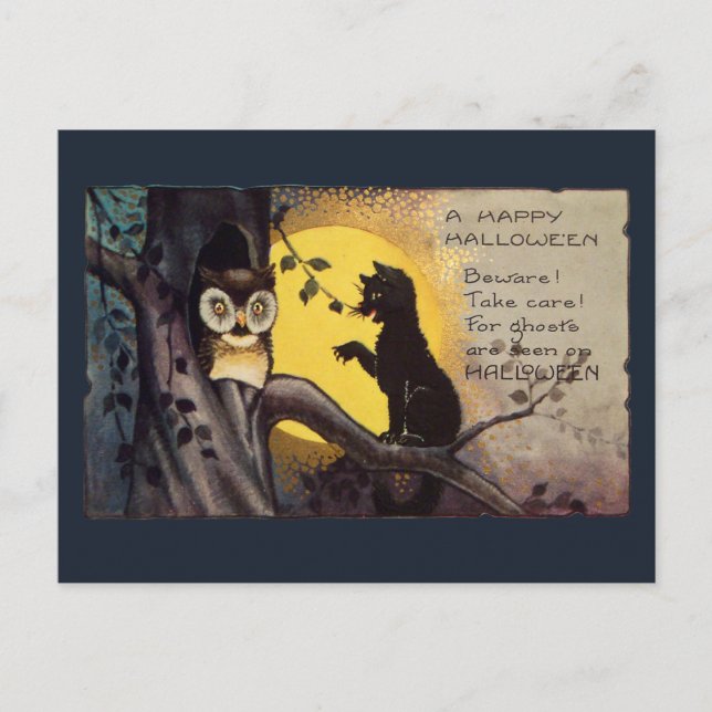 Cartão Postal Cat Warning Owl Vintage Halloween Postcard (Frente)