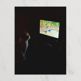 Cartão Postal Cat Who Loves His Screentime Postcard
