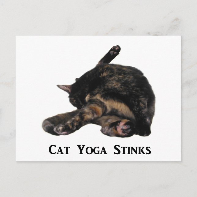 Cartão Postal Cat Yoga Stinks (Frente)