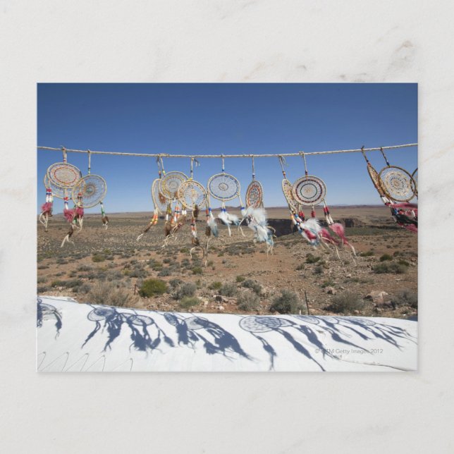 Cartão Postal Catadores nativos americanos de sonhos à venda for (Frente)