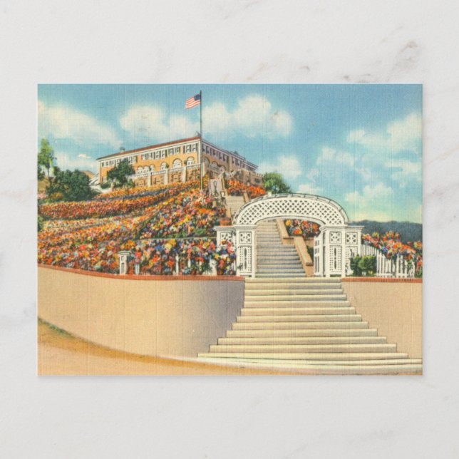 Cartão Postal Catalina (Frente)