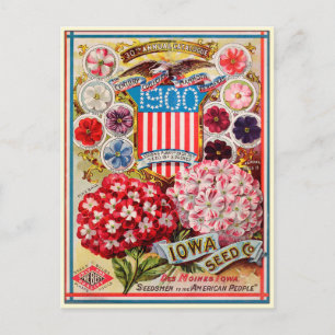 Cartão Postal Catálogo de Sementes de Flores de Jardinagem Vinta