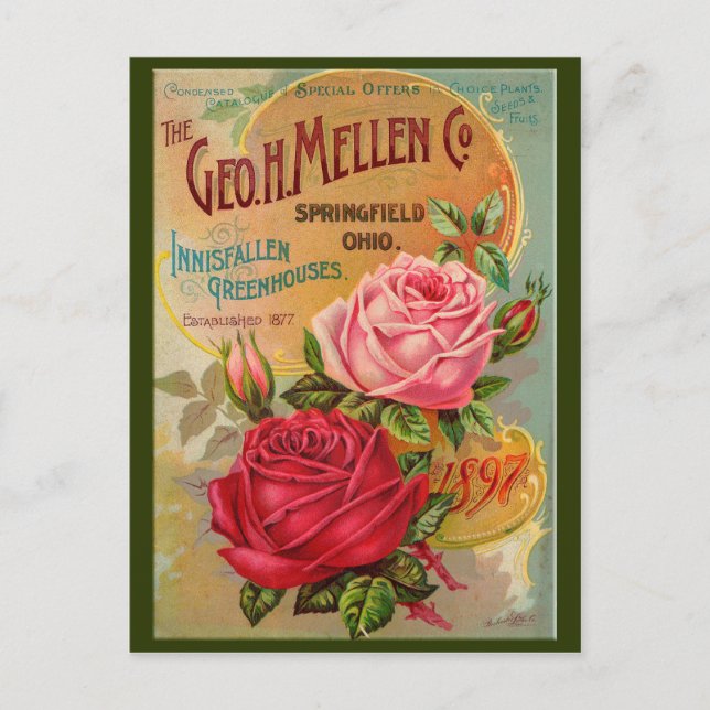 Cartão Postal Catálogo rosa (Frente)