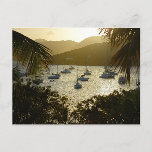 Cartão Postal Catamarãs e veleiros (Frente)
