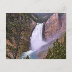 Cartão Postal Catarata inferior do Yellowstone, Grand Canyon do