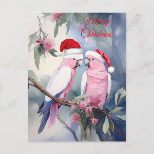 Cartão Postal Catatuas rosadas com chapéu de Papai Noel Feliz Na