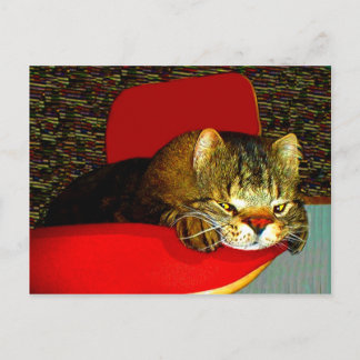 Cartão Postal CATaTUDEs