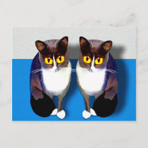 Cartão Postal CATaTUDEs