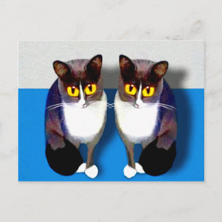 Cartão Postal CATaTUDEs