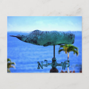 Cartão Postal Catavento de Baleia Jubarte